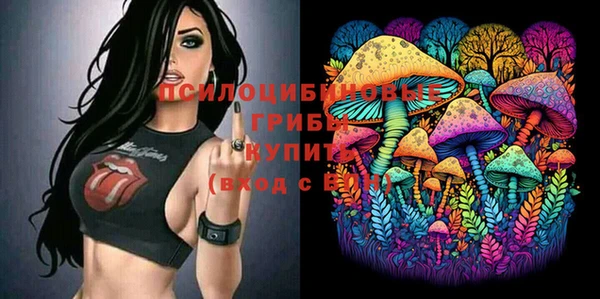 дурь Заводоуковск