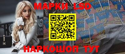тгк Новодвинск