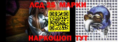 тгк Новодвинск