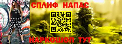 гидра Новокубанск