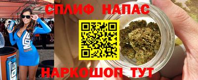 тгк Новодвинск