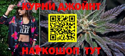 тгк Новодвинск