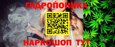 гидра Новокубанск
