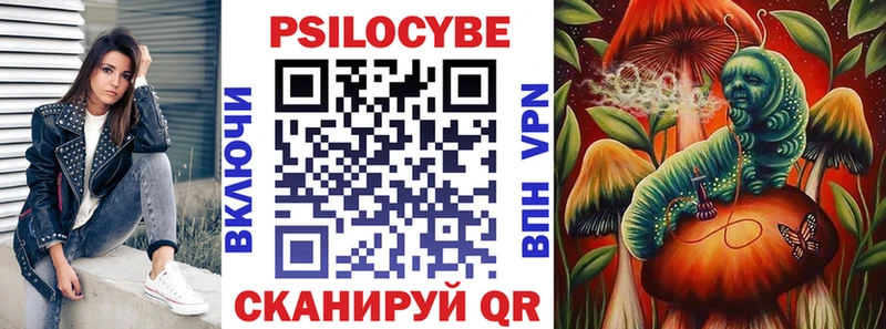 Псилоцибиновые грибы Cubensis  Оренбург 