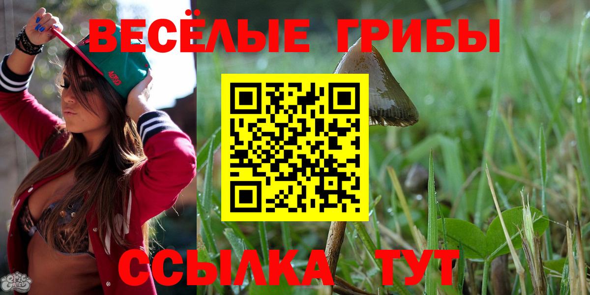 Псилоцибиновые грибы GOLDEN TEACHER Оренбург