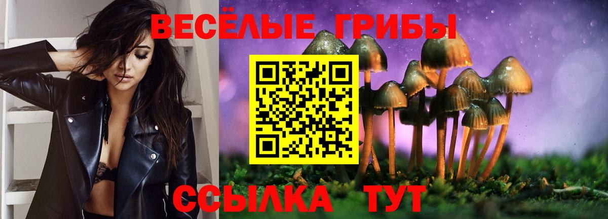 Оренбург  Галлюциногенные грибы мухоморы  Вход с VPN 