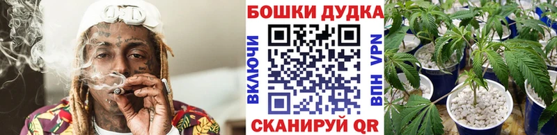купить наркотик  Оренбург  Бошки Шишки OG Kush 
